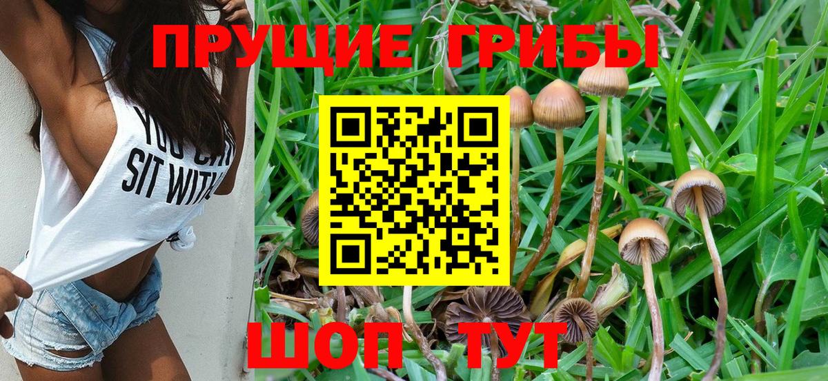 Звенигород  Галлюциногенные грибы Magic Shrooms  Вход с VPN 