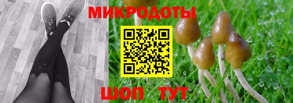 Галлюциногенные грибы ЛСД Звенигород